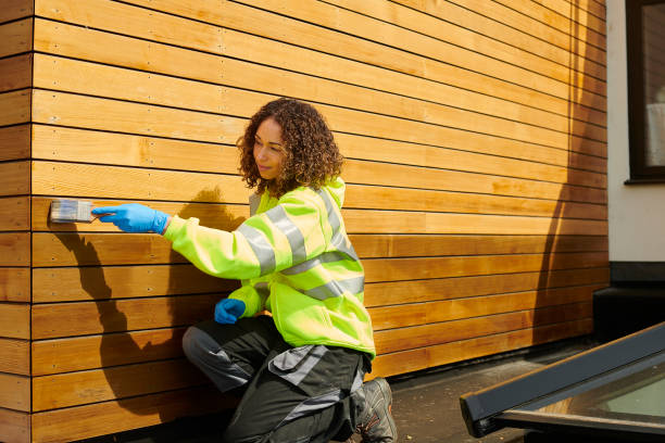 Best Siding Painting and Refinishing  in Surprise, AZ